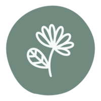 Outline floral and leaf sticker png