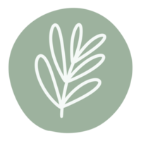 Outline floral and leaf sticker png