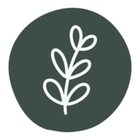 Outline floral and leaf sticker png