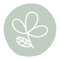 Outline floral and leaf sticker png