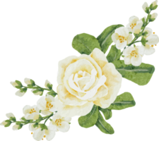 aquarelle belle rose blanche et bleu plumbago auriculata plante bouquet de fleurs clipart png
