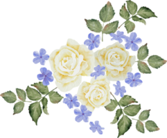 aquarelle belle rose blanche et bleu plumbago auriculata plante bouquet de fleurs clipart png