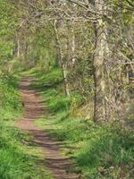 Hiking in the Dingdener Heider photo