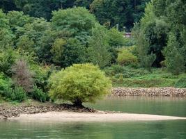 the river rhine near bingen photo