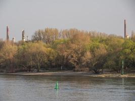 el río rin cerca de colonia foto