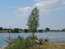 bislich at the rhine river photo