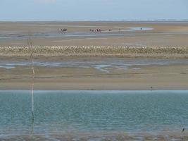 the island of Baltrum photo