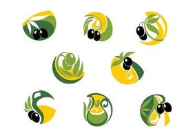 Green and black olives elements vector