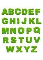 Green grass letters of alphabet vector