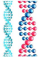 Molecule with DNA elements vector