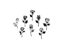 Beautiful roses set vector