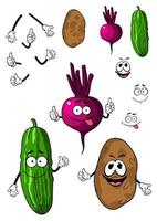 Cucumber, potato and beet vegetables vector