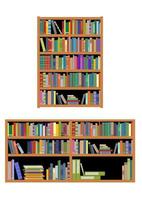 Horizontal and vertical bookshelf vector