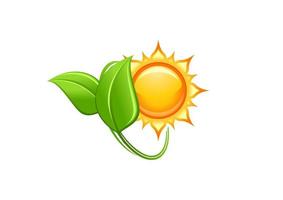 Sun and green leaves vector