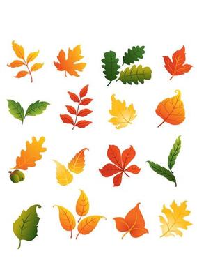 Colourful autumnal leaves set