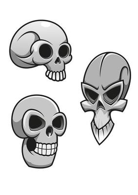 Set of skulls
