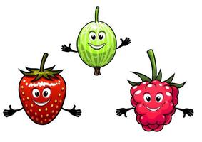 Gooseberry, raspberry and strawberry berries vector