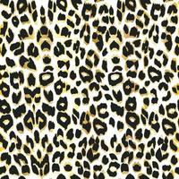 Leopard background. Seamless pattern. Animal print. vector