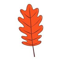 Autumn leaf. Vector illustration in hand drawn style