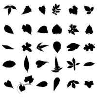 forma de hojas en vector aislado negro