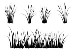 reeds grass silhouette vector