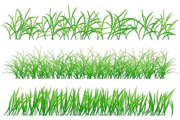 green grass set