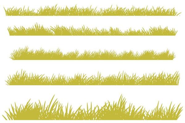 dry grass. brown grass set