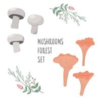 cute mushrooms with fly agaric and boletus. sticker set vector