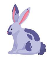 rabbit domestic farm animal vector