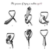 The process of tying a necktie hand drawing vintage engraving style vector