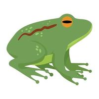 toad domestic pet animal vector