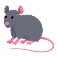 mouse domestic pet animal vector