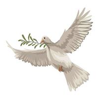 paloma volando con rama de olivo vector