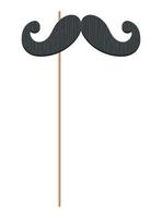 mustache male accessory in stick vector