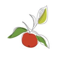 Line art drawing of an apple. Vector illustration of a linear apple in red and leaves with yellow and green spots. Fruit drawing for print or packaging.