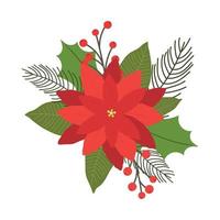 Christmas plants. Poinsettia and ilex leaves. Red berries and spruce branches. Christmas composition for advertisement or card vector