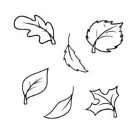 conjunto monocromo de iconos de otoño, hojas de otoño de diferentes árboles, caída de hojas, estilo de dibujos animados vectoriales sobre un fondo blanco. vector