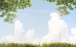 blue sky with cloud and bamboo leaves with green leaf photo