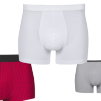 shorts com fundo transparente de traçado de recorte png