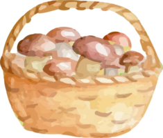 Basket with mushrooms painted in watercolor. png