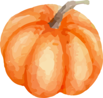 Pumpkin painted in watercolor. png