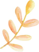A branch of leaves painted in watercolor. png