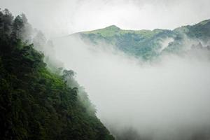 Dark mountain, pine forest with fog photo