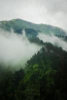 Dark mountain, pine forest with fog photo