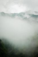 montaña oscura, bosque de pinos con niebla foto