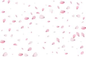 Pink flying petals. png