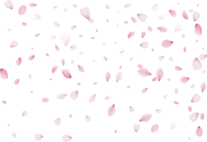 Flying flower petals. png