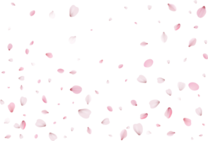 Flying flower petals. png