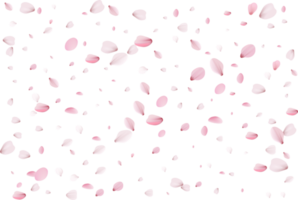 Flying cherry petals. png