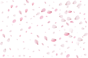 rosa fliegende Blütenblätter. png